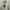 Issey Miyake Vintage Avant Garde Hoody Pria White