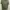 Uniqlo Casual T-shirt Pria green photo 3