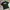Patagonia Casual T-shirt Pria black photo 1