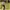 WHO.A.U Casual Hoody Pria yellow photo 1