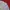 Lonsdale Minimalist Polo shirt Pria gray photo 2