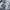 Vintage Sportswear Pria gray photo 3