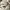 Vintage Hobo bag Wanita cream photo 5