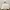 Marhen J Minimalist Shoulder bag Wanita white photo 1