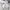 Japanese brand Vintage Casual Bomber jacket Pria cream photo 4
