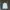 Casual Windbreaker Pria white photo 6