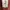 Baracuta Vintage Casual Denim jacket Pria burgundy photo 2