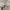 Undercover Streetwear Casual Bomber jacket Pria brown photo 6