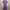 Diane von Furstenberg Silk Dress – 100% Silk photo 4