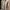 Carhartt Casual Casual shirt Pria tan photo 2