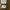Carhartt Casual Casual shirt Pria tan photo 5