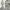 Casual Hoody Pria gray photo 1