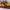 Adidas Streetwear Luxury Sneakers Pria red yellow photo 3