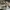 VANS Indie Casual Sneakers Pria white tan photo 3