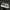 VANS Indie Casual Sneakers Pria White Tan