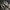VANS Indie Casual Sneakers Pria white tan photo 5