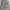 Streetwear Casual Sweatshirt Pria gray photo 5