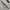 Fear of God ESSENTIALS Streetwear T-shirt Pria cream photo 4