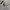 Vintage Y2K Short Pria white red black gray blue photo 8