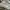 VANS Gorpcore Casual Sneakers Pria white cream photo 3