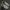 Nike Gorpcore Casual Sneakers Pria white navy photo 4