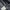 The North Face Gorpcore Sportswear Puffer jacket Pria black photo 8