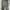 Carhartt Vintage Y2K Jeans Pria green gray photo 2