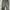 Carhartt Vintage Y2K Jeans Pria Green Gray