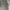 Carhartt Vintage Y2K Jeans Pria green gray photo 3