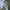 Southpole Streetwear Y2K Hoody Pria blue photo 5