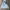 Southpole Streetwear Y2K Hoody Pria blue photo 1