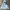 Southpole Streetwear Y2K Hoody Pria Blue