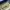 Adidas Sportswear Sneakers Pria gray photo 5