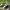Nike Sportswear Casual Sneakers Pria white black photo 1