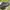 Nike Casual Sneakers Pria Black