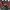 Streetwear Bomber jacket Pria multicolor black photo 4