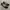 Salvatore Ferragamo Luxury Minimalist Wanita black photo 1