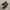 Massimo Dutti Minimalist Loafer Pria brown photo 2