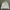 Stussy Streetwear Hoody Pria cream photo 1