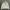 Stussy Streetwear Hoody Pria Cream