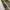 Burberry Luxury Pria gold photo 6