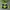 Nike ACG Y2K Gorpcore Track Jacket Pria Multicolor
