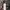 G2000 Casual Suit Pria gray photo 4