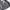 Nike Streetwear Sportswear Windbreaker Pria gray photo 4