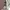 Carhartt Streetwear Y2K Leather jacket Pria cream photo 7