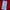 Carhartt Minimalist Casual Fleece Pria red photo 3