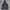 Jack Wolfskin Gorpcore Windbreaker Pria black photo 1