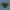 Minimalist Crop top Wanita green photo 1