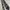 Burberry Luxury Formal shirt Pria gray cream photo 3