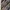 Burberry Luxury Formal shirt Pria gray cream photo 5